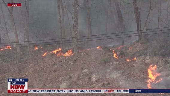 Wildfires erupt in South Korea killing 24 people