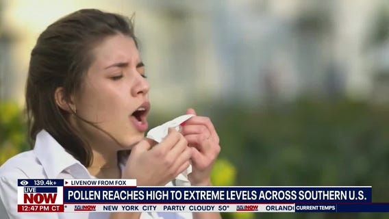 Pollen reaches high to extreme levels across South