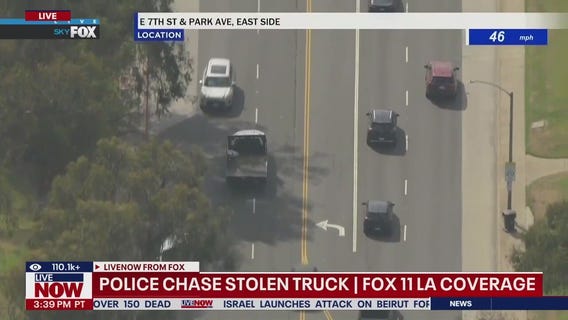 WATCH ending of wild police chase in Los Angeles
