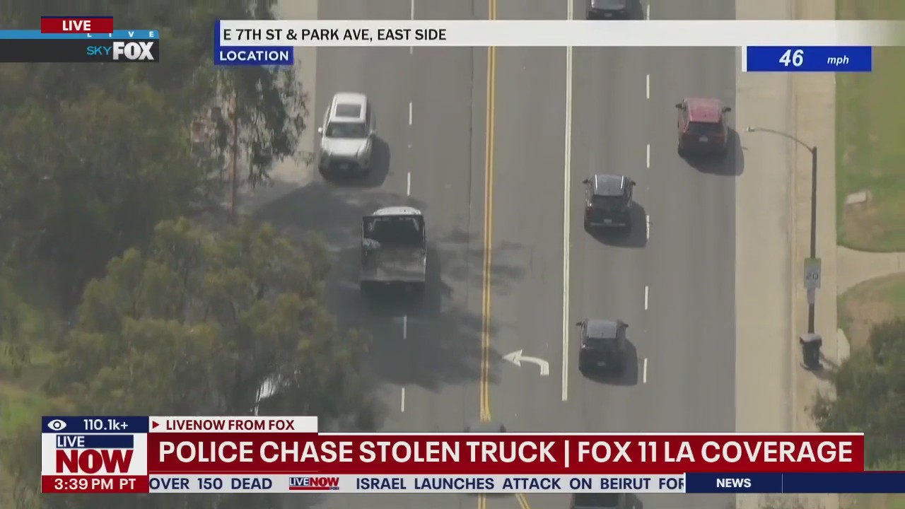WATCH ending of wild police chase in Los Angeles