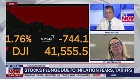 Stocks plunge due to inflation fears, tariffs