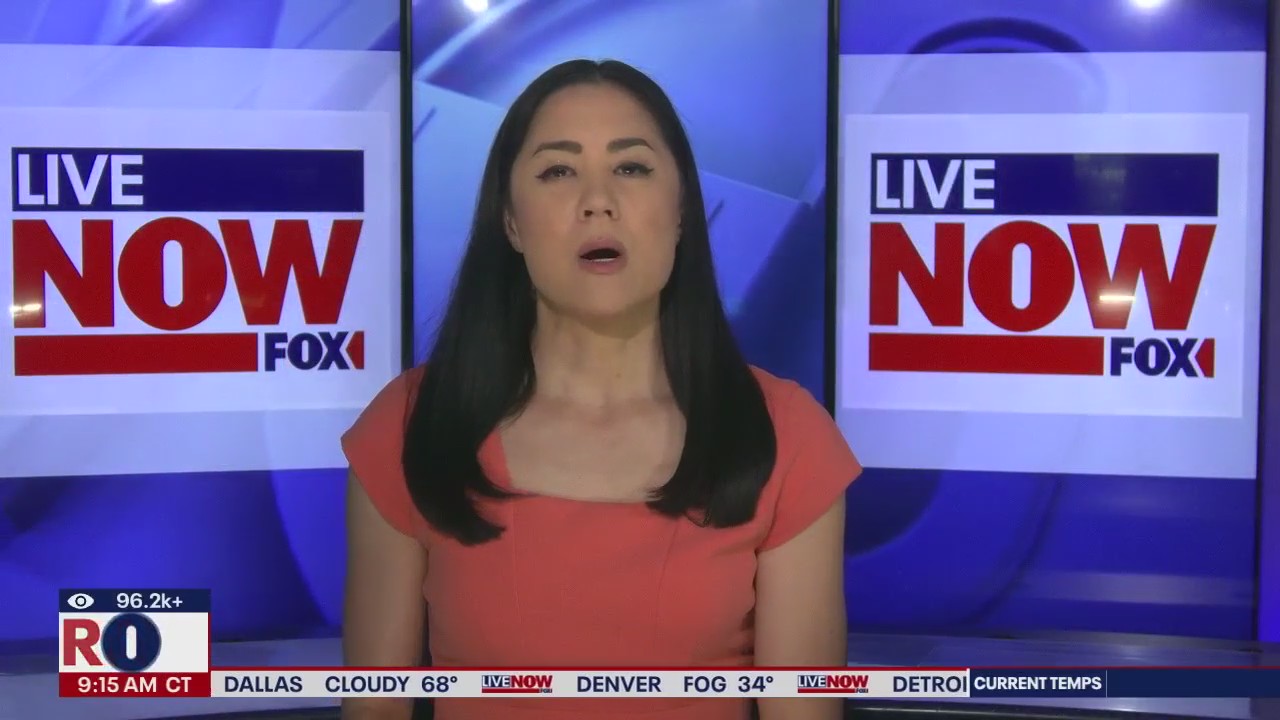 More arrests in Telsa attacks; FBI sets up task force