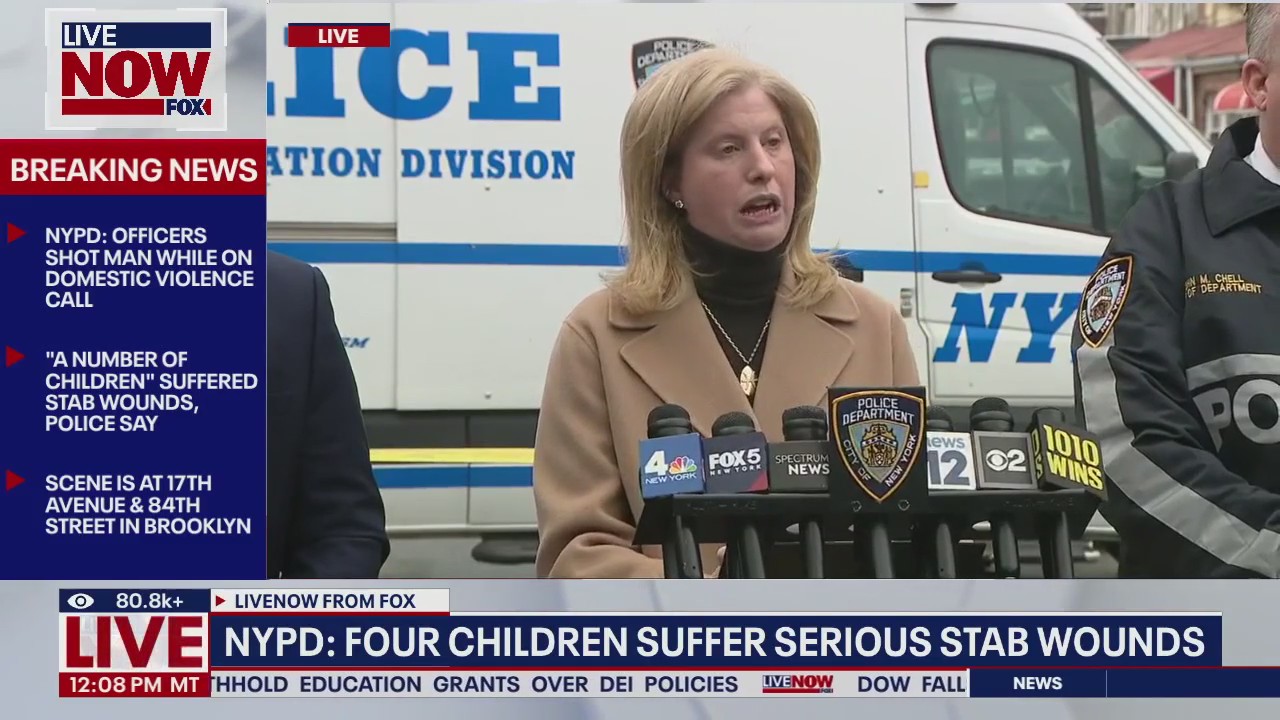 NYPD: Man slashes children with meat cleaver