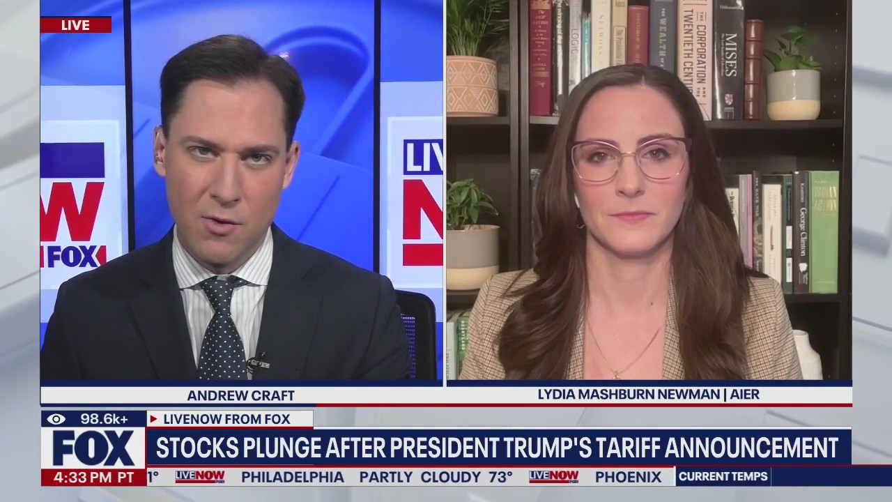 Stocks plunge following tariff announcement