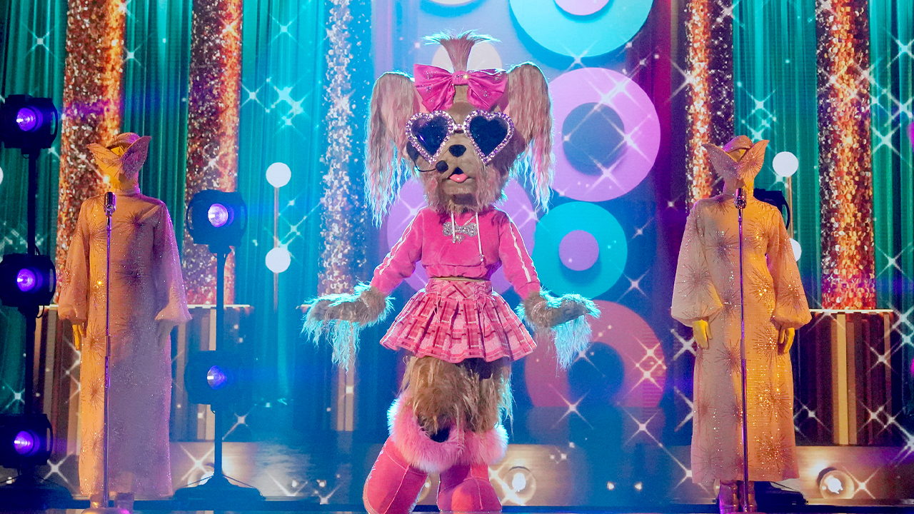 Yorkie revealed on 'Masked Singer' Decades Night