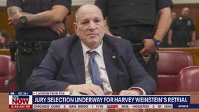 Jury selection continues in Weinstein retrial