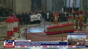 Cardinals and public pay respects to Pope Francis