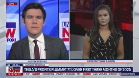 Tesla's reports 71% drop in profits