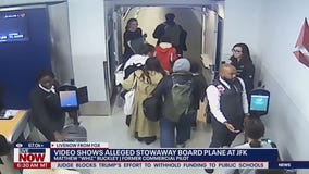Newly released video shows alleged stowaway at JFK