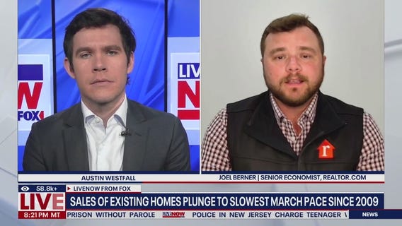 Existing U.S. home sales plunge, report shows