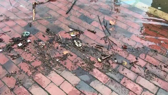 Alexandria flooding Sunday