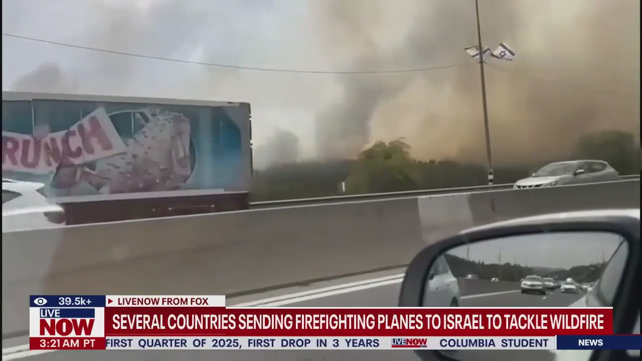 Planes tackle wildfires in Israel