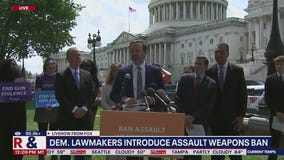 Democrat lawmakers introduce assault weapons ban