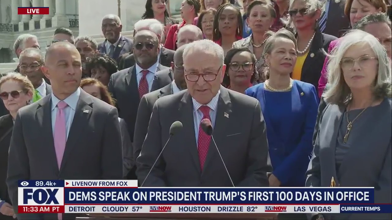 Dems speak on President Trump's first 100 days