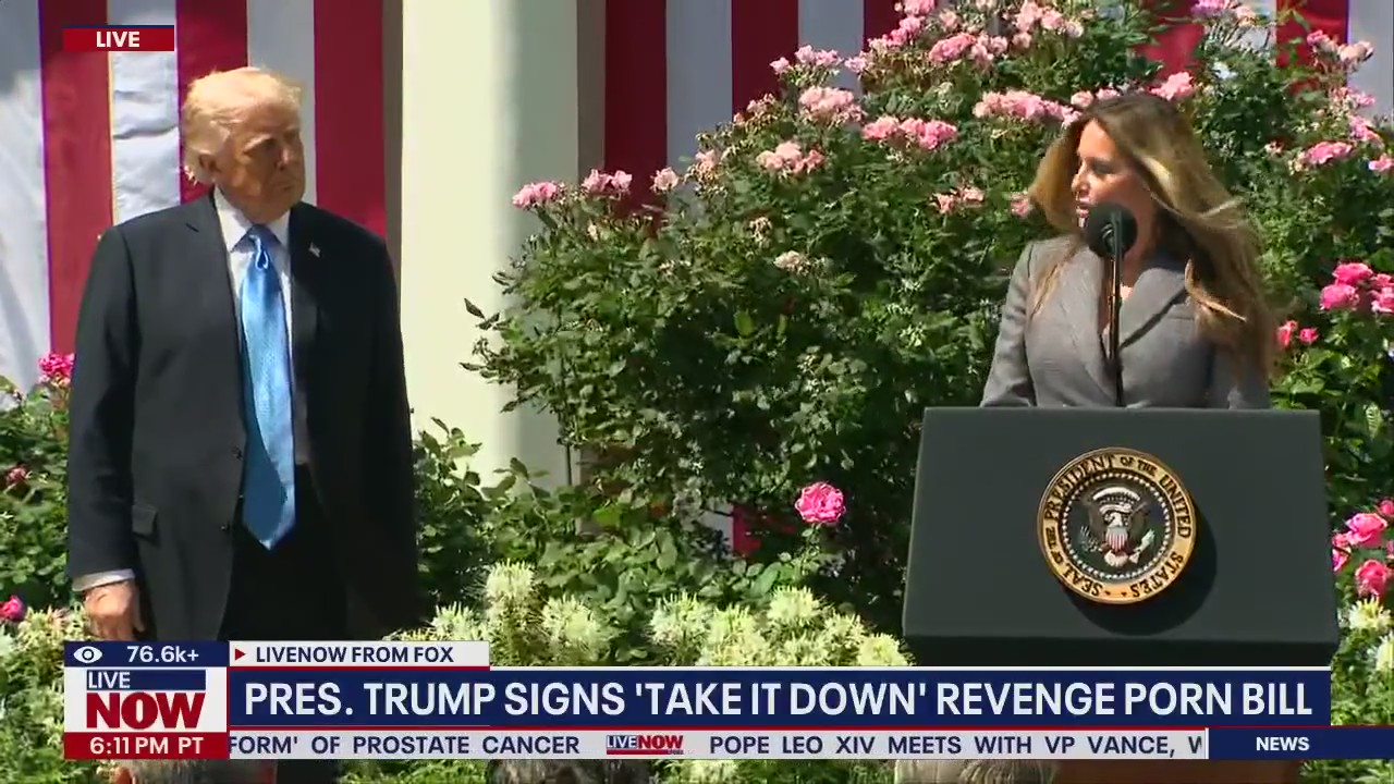 Tech policy expert weighs in on revenge porn bill