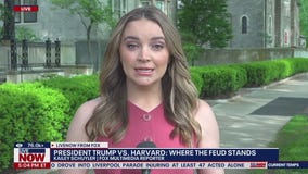 Trump v. Harvard: where the feud stands