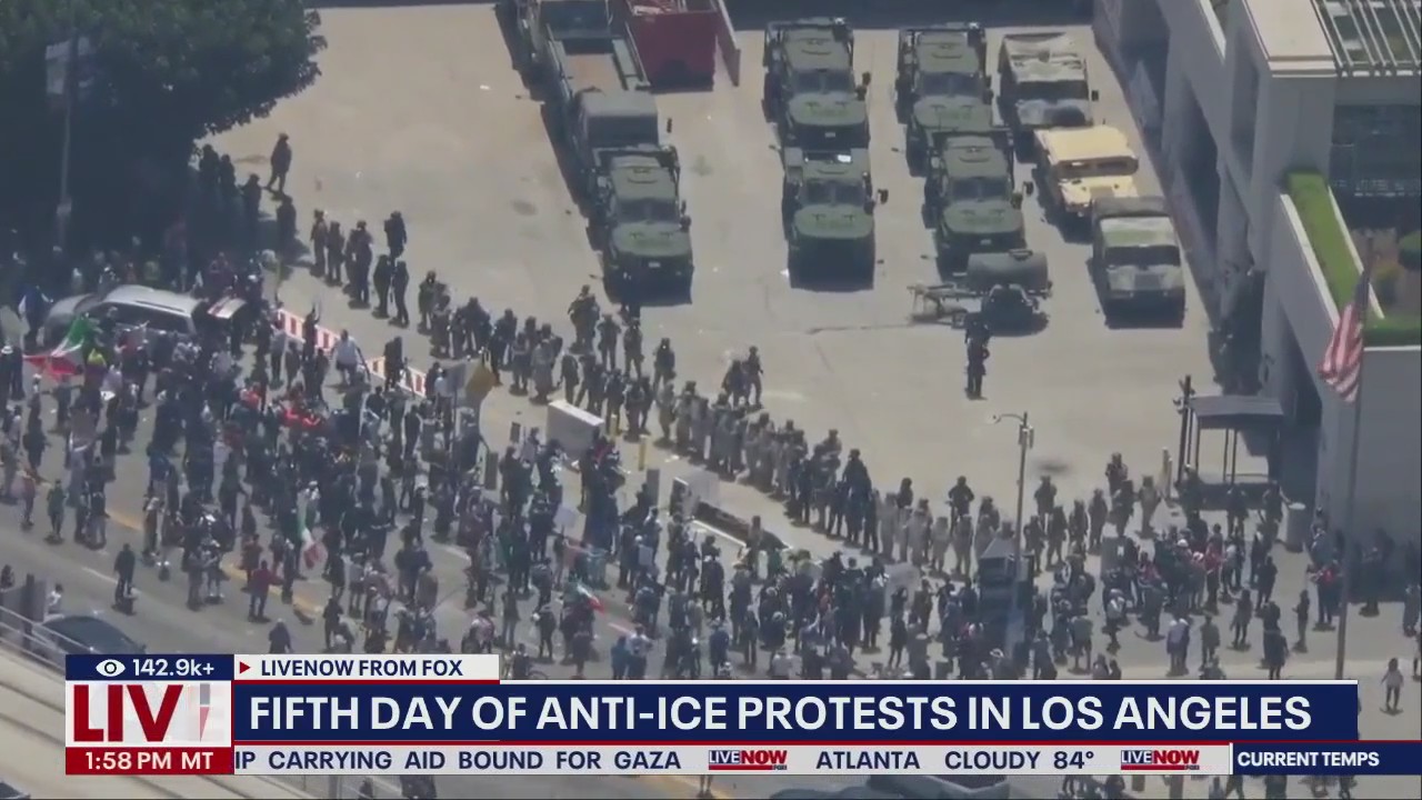 California GOP lawmaker condemns anti-ICE protests