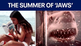 'Jaws,' the first summer blockbuster, turns 50