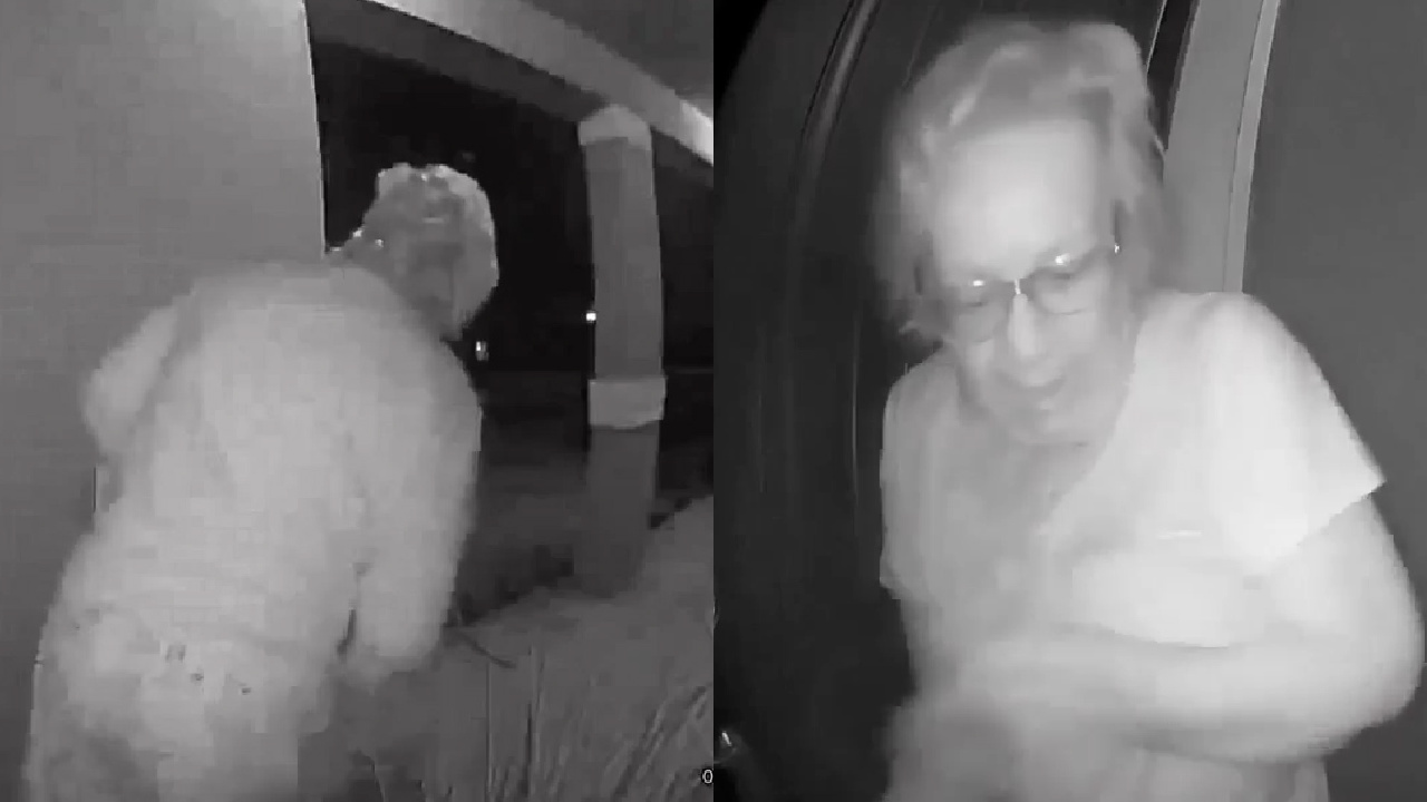 Watch: Woman comes within feet of a bear