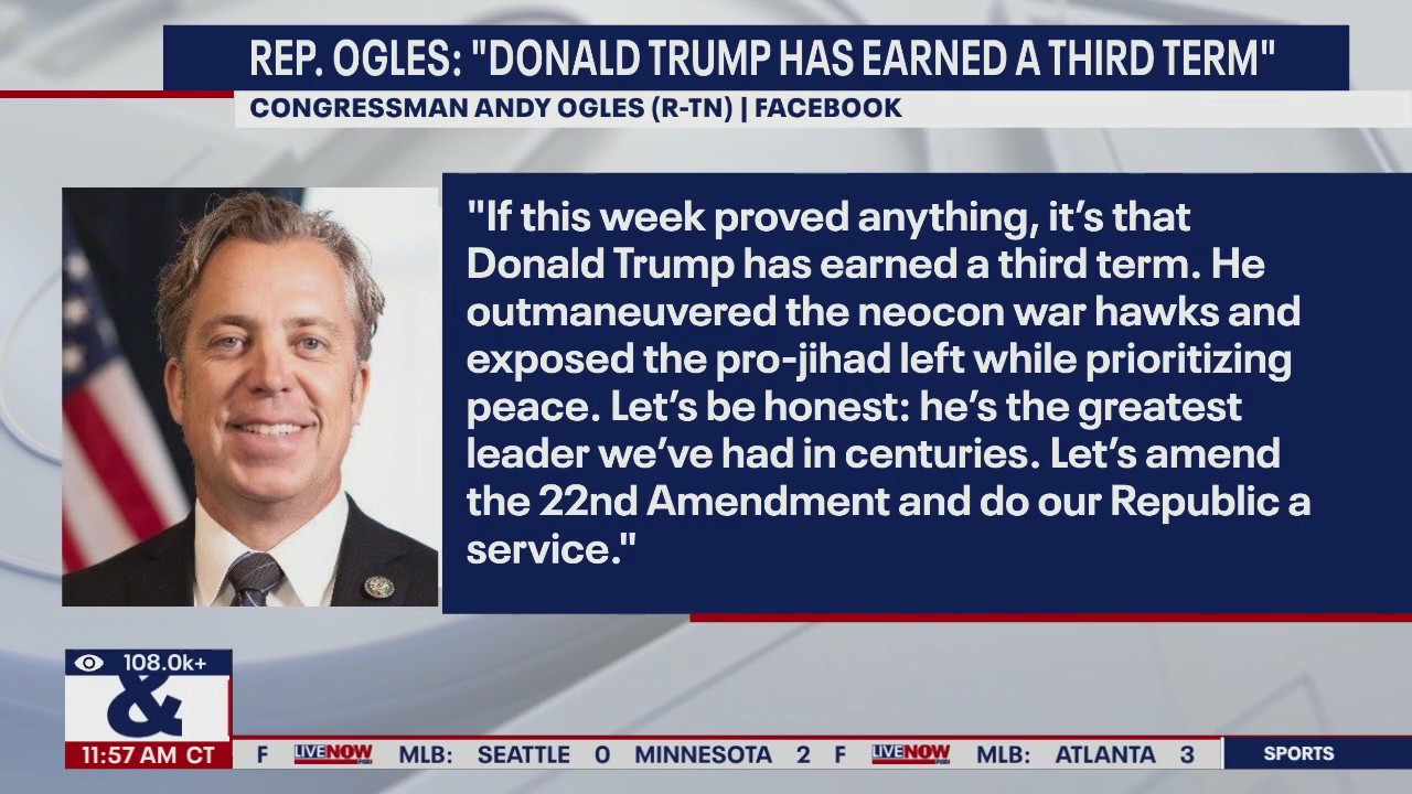 GOP lawmaker calls for Trump to have 3rd term