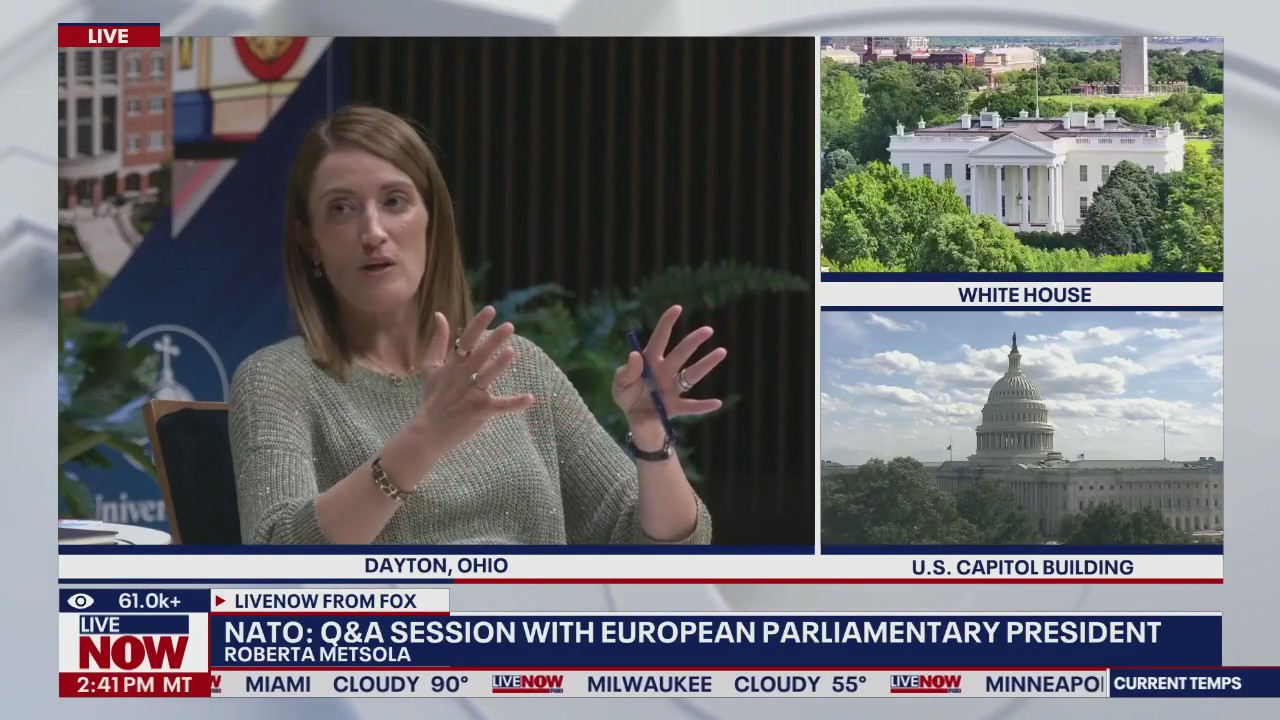 NATO: European Parliamentary President gives remarks