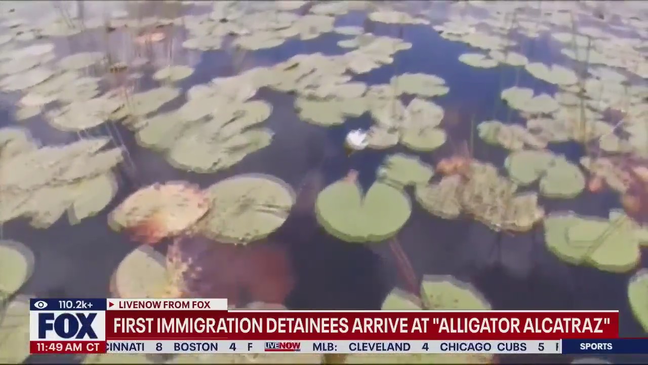 Migrants arrive at "Alligator Alcatraz"