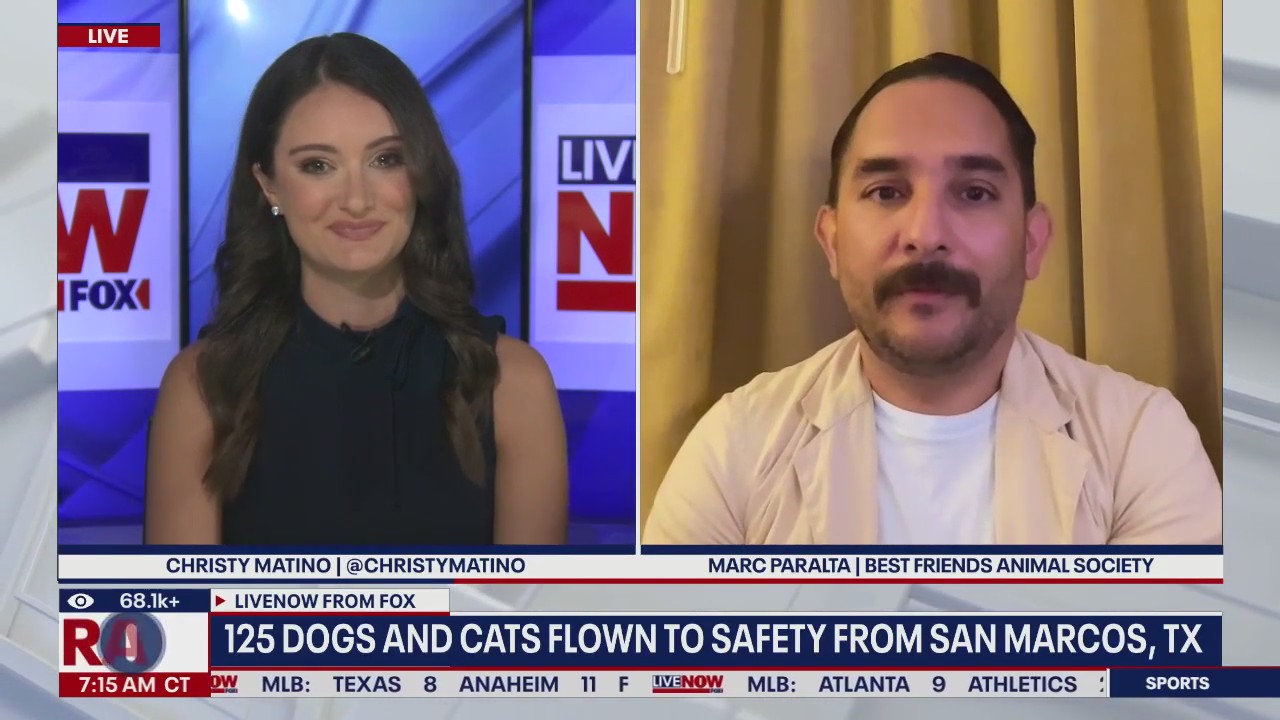 Over 100 animals flown to safety after Texas flooding