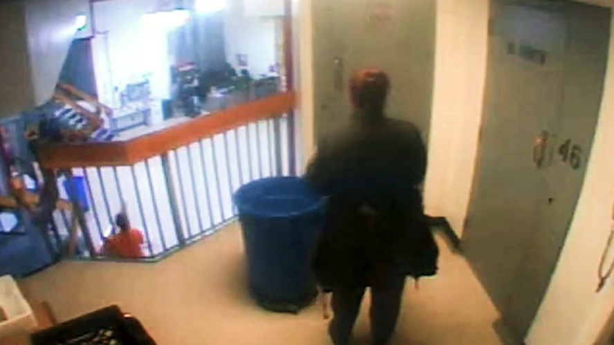 New footage shows Jeffrey Epstein before death in jail