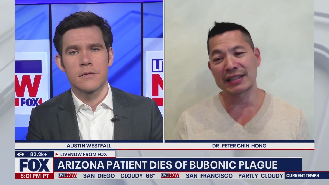 U.S. having worst year for measles in decades