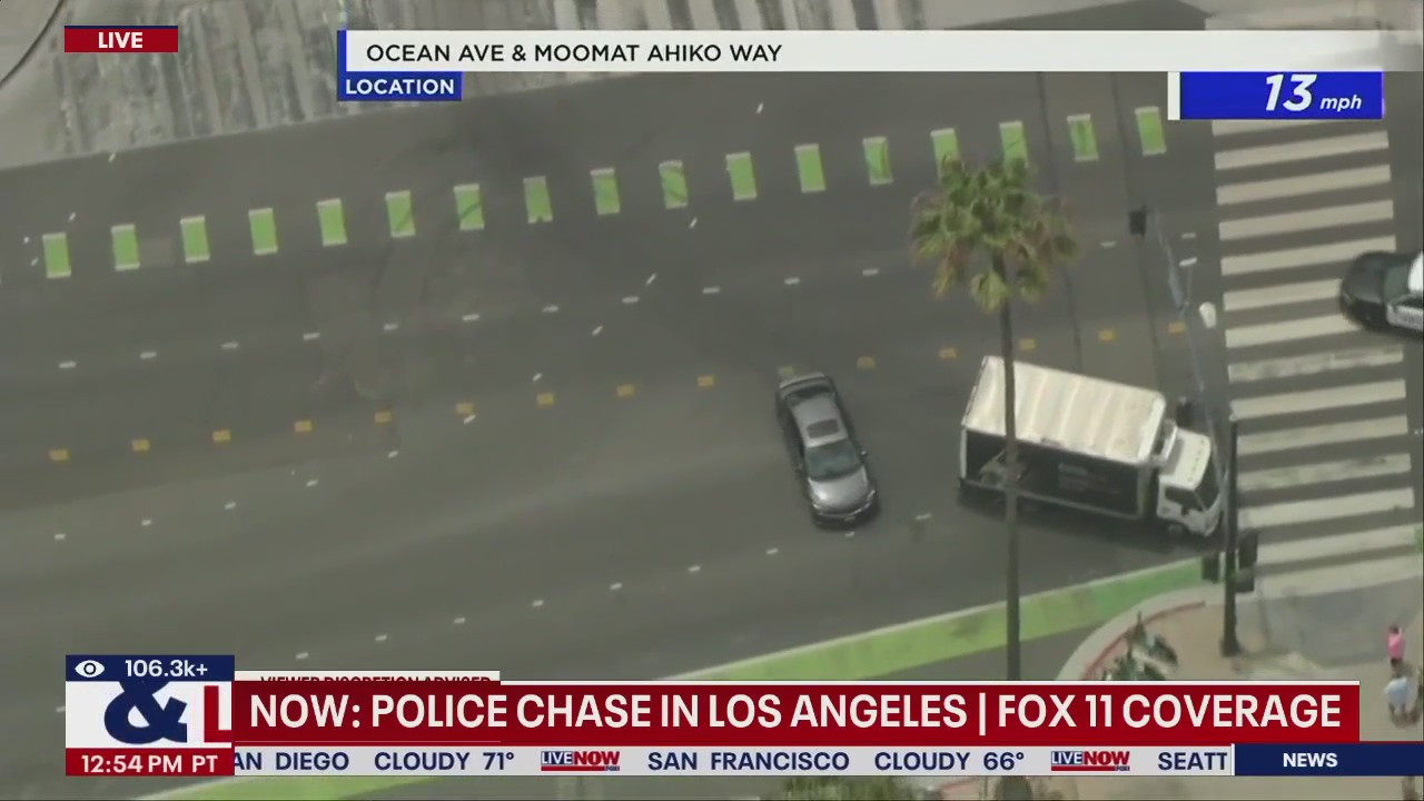 WATCH ending of high-speed police chase in LA