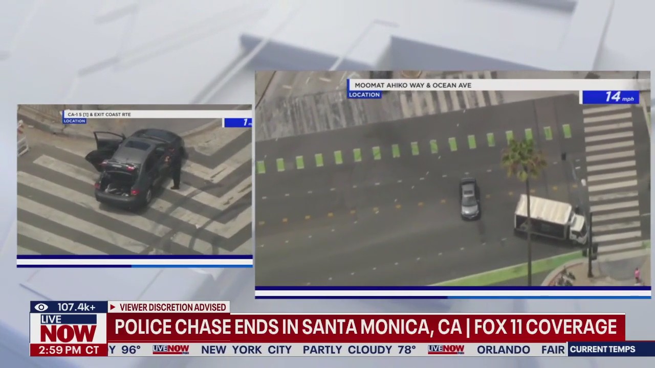 FULL: CA car chase, suspect and dog in custody