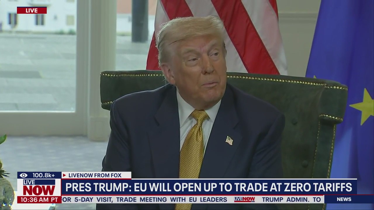 President Trump reaches trade deal with EU