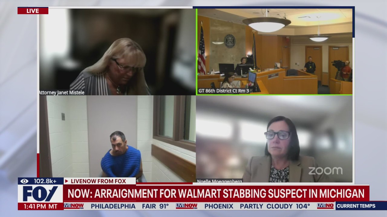 Michigan stabbing suspect bizarre claims in court