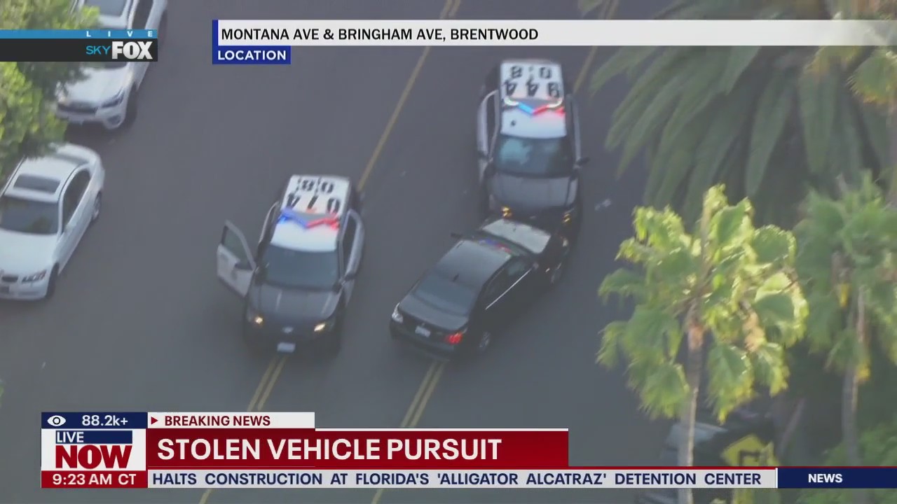 Women takes LA police on wild chase