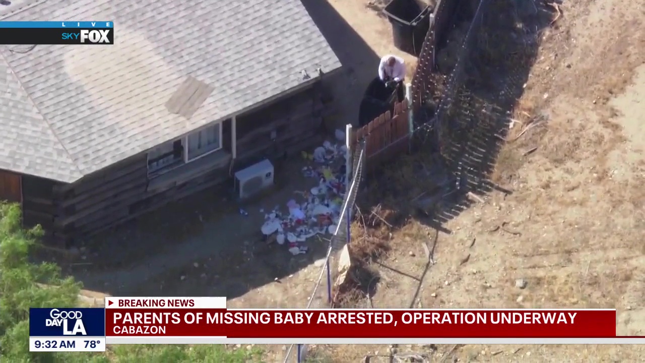 SkyFOX view of search