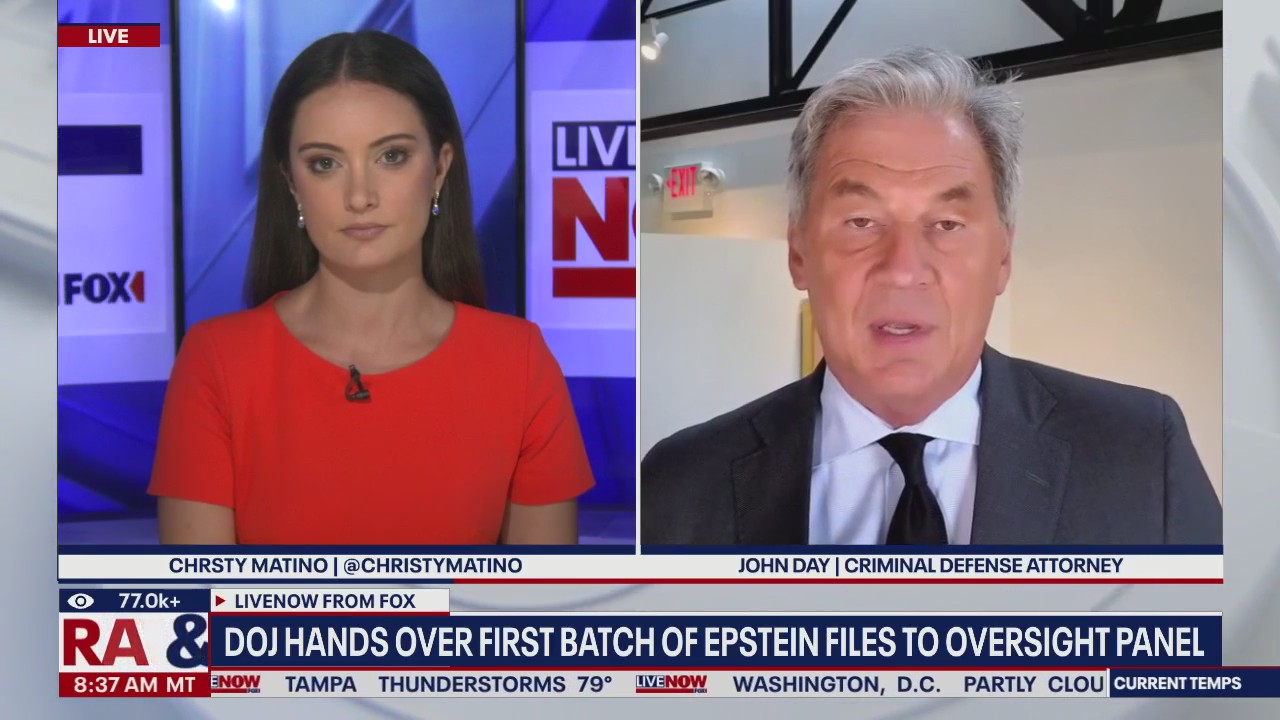 Oversight panel gets first batch of Epstein files