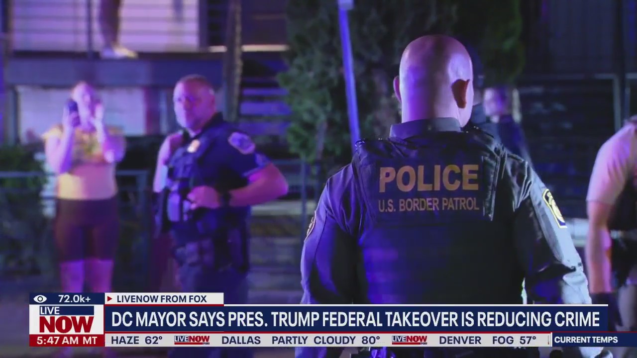 Homicide rates dropped in most US cities last year, report finds