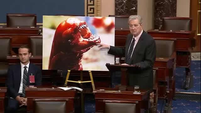 Senator says imported shrimp will make you an alien