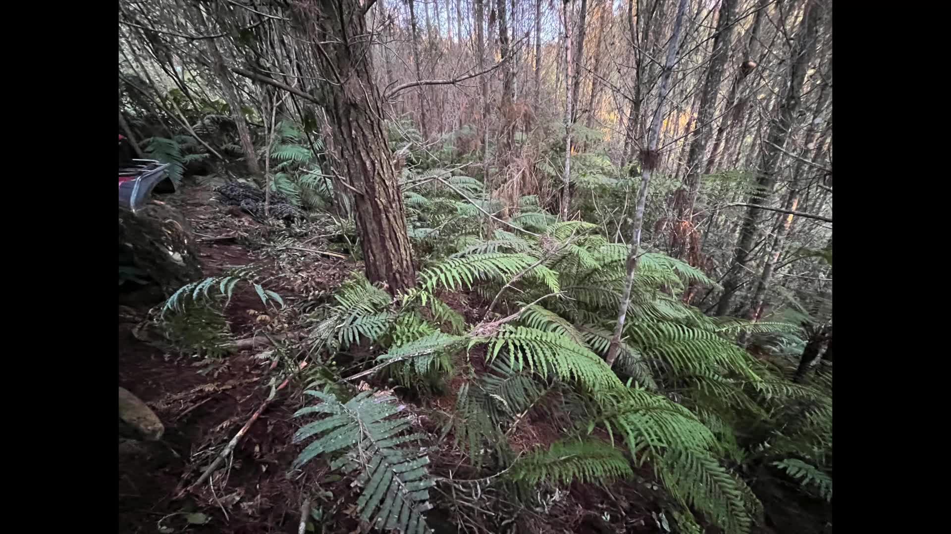 Police publish images of fugitive father?s campsite with kids