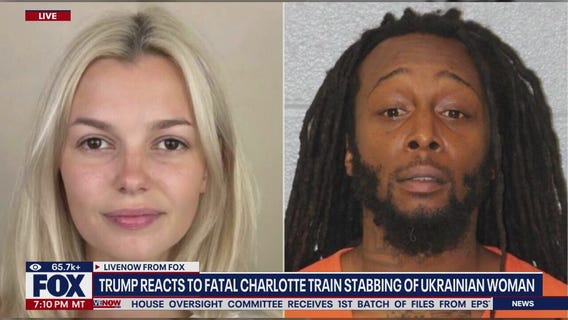 Ukrainian refugee stabbed to death on light rail