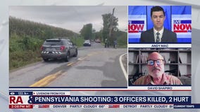 Deadly PA shooting started as domestic violence case