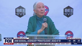 Jane Goodall, famed conservationist, dies at 91