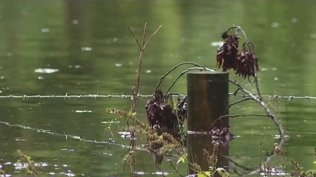 Marion County expects flooding from Idalia