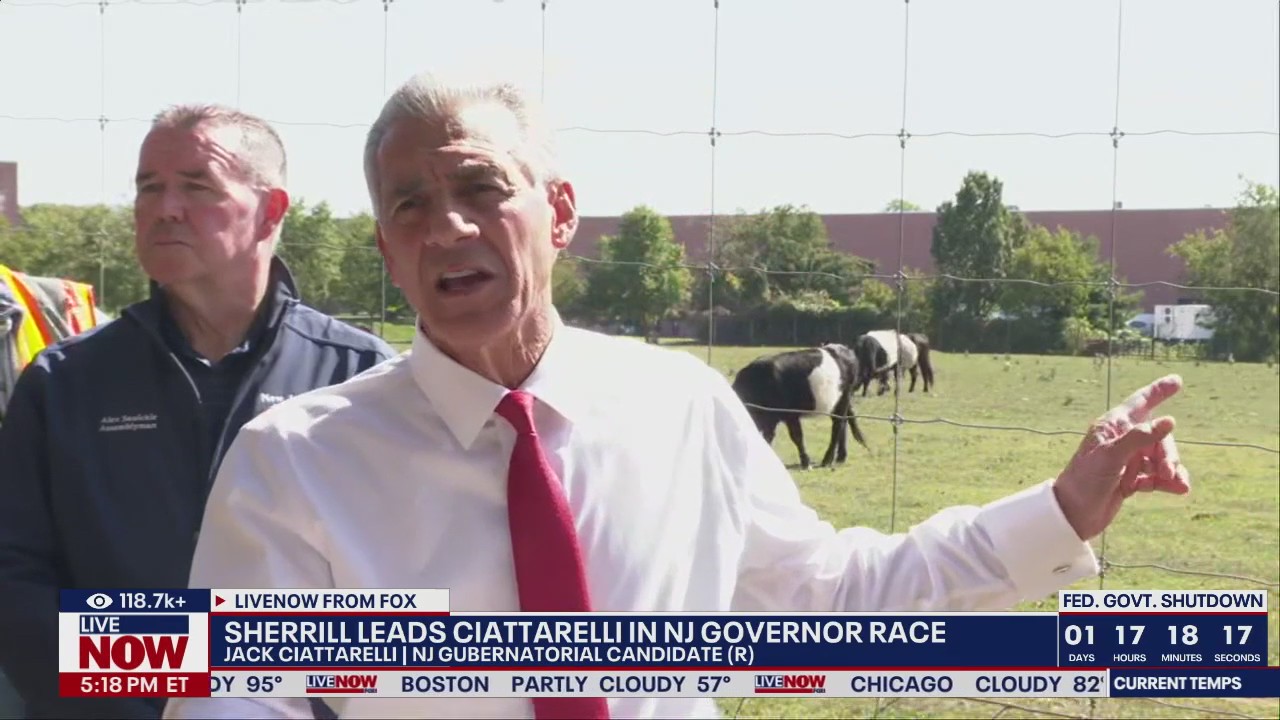 NJ governor race: Sherrill leads Ciattarelli