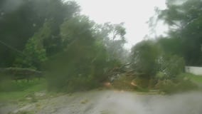 Hurricane Idalia damage: Neighborhood littered with down trees in Mayo