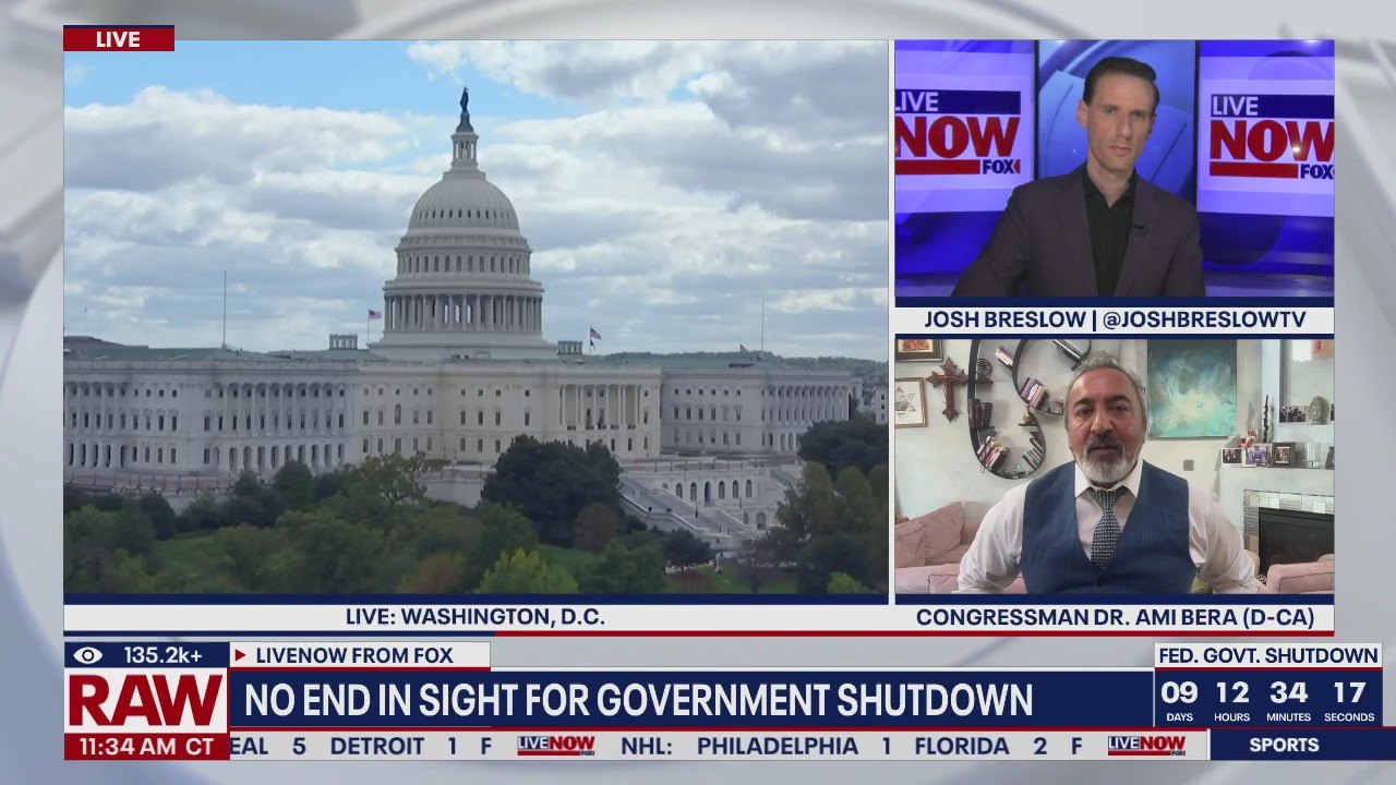 Rep. Ami Bera (D-CA) talks government shutdown