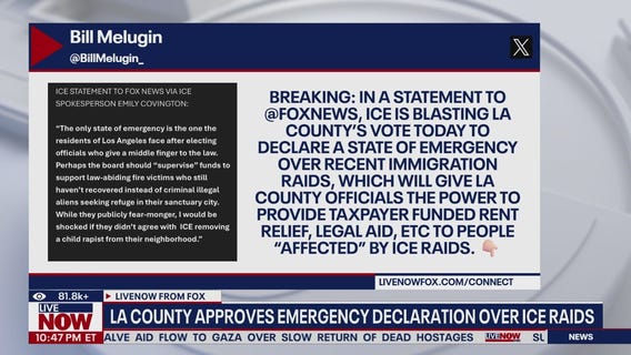 LA County OKs emergency declaration over ICE raids