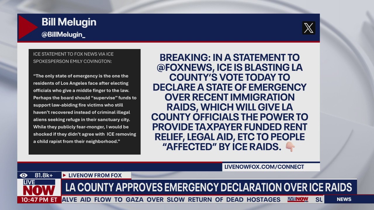 LA County OKs emergency declaration over ICE raids