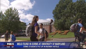 Hundreds of University of Maryland students moved to hotels after mold found in dorms