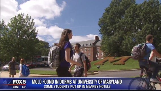 Hundreds of University of Maryland students moved to hotels after mold found in dorms